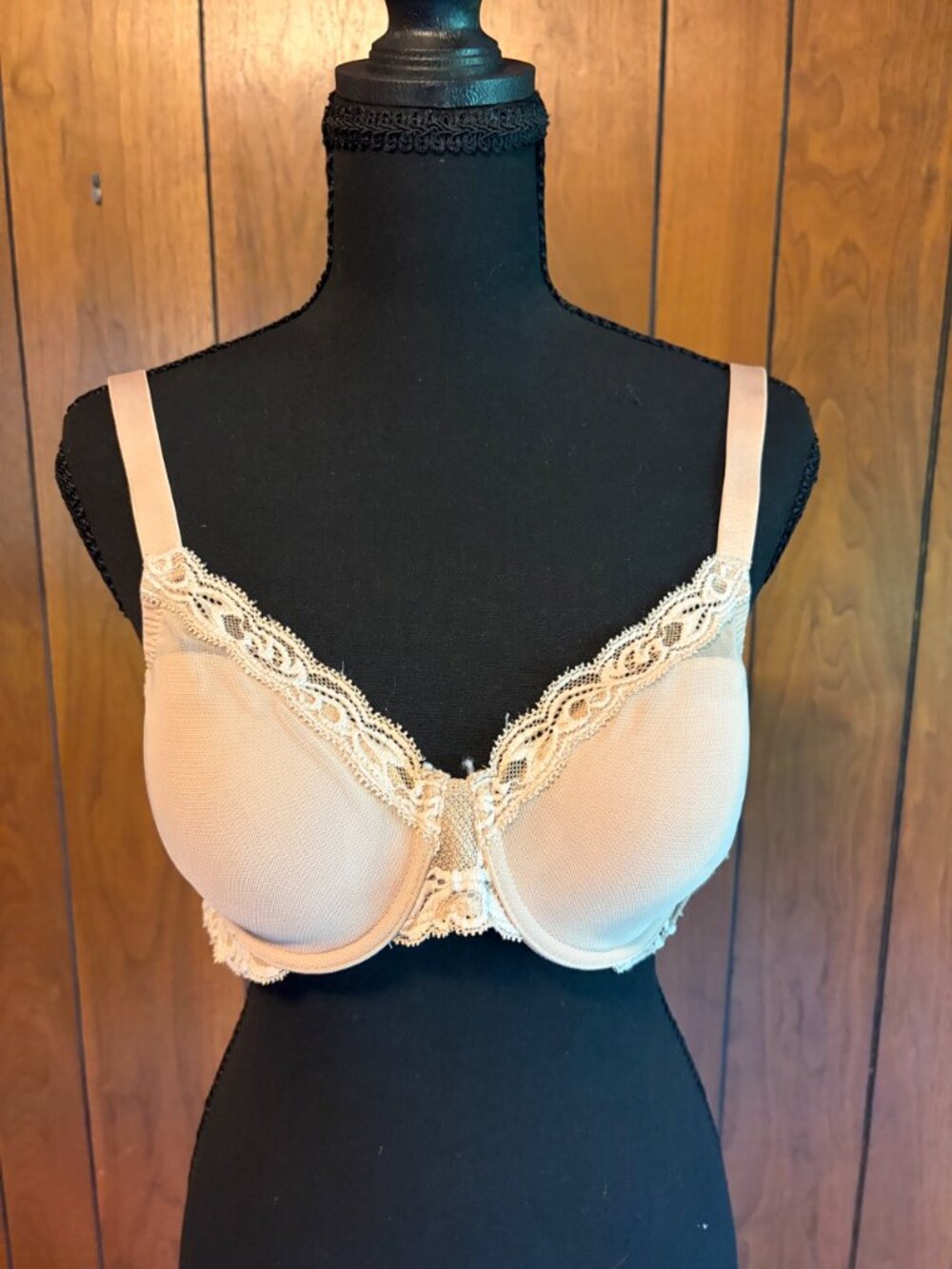 Natori 30D nude bra